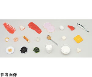 イワイサンプル 学校給食指導用・食品モデル 牛肉 60g (磁石付) 1個 55R-3