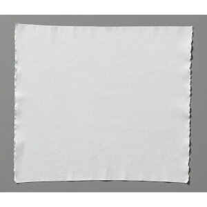 mgt[ N[Cp[iɍב@ہj24×24cm 100 1P[X(100) FZ800C-01 FREE