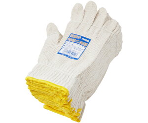 ACEi܁j ȓR a2{ 7Q[W 12o 600g 1_[X(12o) AG110