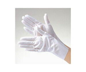 S[hEC mV[55N[pbN 10o×5pbN zCg L 1Zbg(10o×5pbN) PA3655-01-L-50P