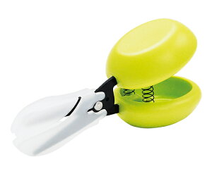 CastanT~ O[ 1 D-CASTA-G |Xg