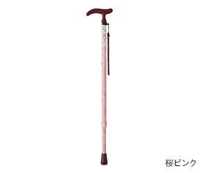 tWz[ ANeBuO[XiLkj@p[v 1{ WB3751