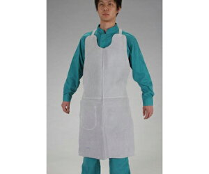 �G�X�R �G�v����(�o�ڍ�Ɨp�E���v)�@550×950mm 1�� EA353AP-6