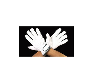 GXR ܁i؊vEnȕtj@[LL] 1o EA353BE-73