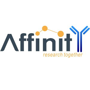 �y�����zAffinity Biosciences Phospho-MKK4 �iSer257/Thr261�j Antibody 100ul 1�� AF3862