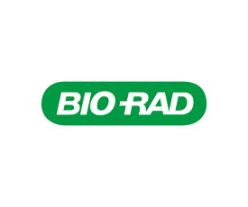 BIORAD ddPCR Plates 96well セミスカート clear well/clear shell 1個 12001925