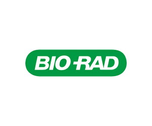 BIORAD ddPCR Plates 96well �Z�~�X�J�[�g clear well/clear shell 1�� 12001925