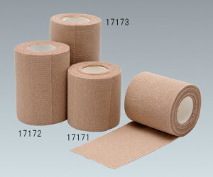 APA сERvbV@4@10 1(10) 17173