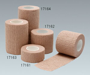 APA сET|[g@4@10 1(10) 17164