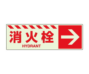 jbg ~XebJ[ ΐ  1 831-19