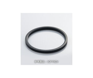 RXebN ICF253 KXPbg Viton 1 1 ICF253GV