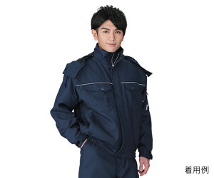 d GRdhu]it[htj lCr[ 4L 1 48410-011-4L