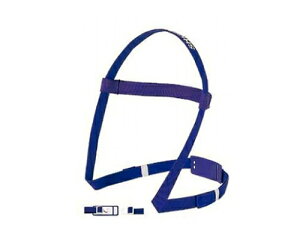 d쏊 i ߂Ђ#50349 1pbN(5{) Vq#50349