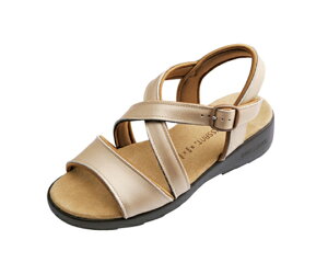 _C}c CR4591 NbT S[h LL 1 CR4591 LL