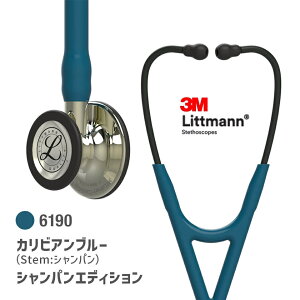 yKizbg}@J[fBIW[IV 6190(JrAu)Vp J[fBIW[4 Littmann