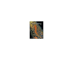 �i�o�ŎЁjSinauer Associates Inc. Publishers Invertebrates 1�� 978-1-60535-375-3