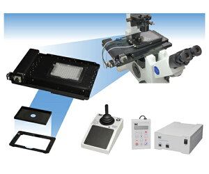 @ BIXYXe[WSTDVXe (OL)A2 1 B30102A2