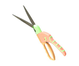 T{e fB[X]Ő 1 NO.1050