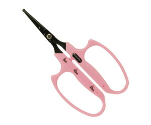 �T�{�e�� �Ԃǂ�����ۂ���B-6MB 1�� No.B-6MB