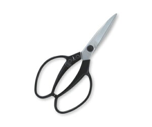 J}L A~nh A(210mm) 1 #650