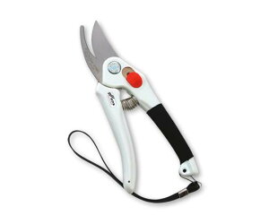 J}L  oCpX(185mm)XeXn 1 P-900S