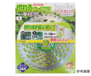 RHƏiACEbhj ؂iCt^`bv\[@255×40P 1 255X40P