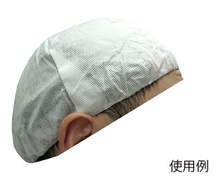 xm܍H sDzwbgCi[Xq  4×10 1(4×10ܓ) 1702