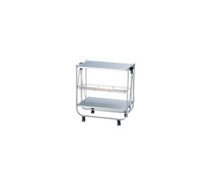 �_���g���iDULTON�j �z�[���f�B���O �g���[���[ �V���o�[ 1�� H11907CLR