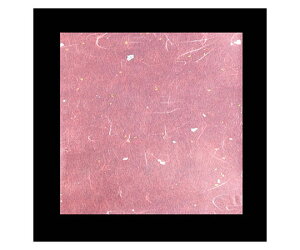 A[ebN OP_~ g~F(100) 15cmp 1P[X(100) OPG-35