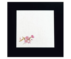 }C ϖ~18p(100)  M30-221 1P[X(100)