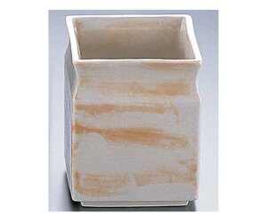 GYWp  X^bNpAN 1 T03-196