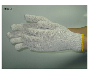 xm܍H ȓ{R (7Q[W)  t[ (12og×60) 1P[X(12o×60ܓ) 484-51