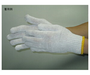 xm܍H FJT{R (7Q[W)  t[ (12og×60) 1P[X(12o×60ܓ) 484-45