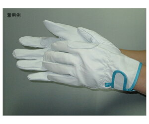 �x�m��܍H�� ���N�� ���X�L���[ �� L (1�o�g×10��) 1�P�[�X(1�o×10�ܓ�) 319