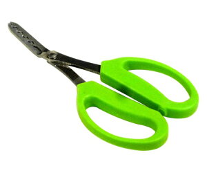 CLUB.J(A[NhTJg) gOi͂݌`j 1{ 720087