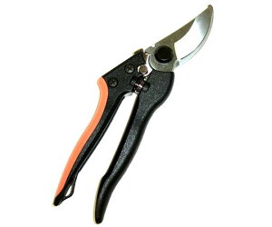 CLUB.J(A[NhTJg) yʙ@200mm 1 725661