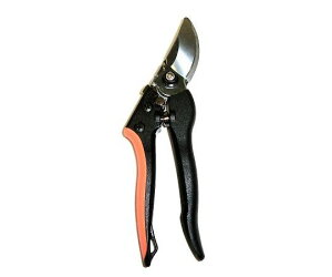 CLUB.J(A[NhTJg) yʃLb`@200mm 1 725663