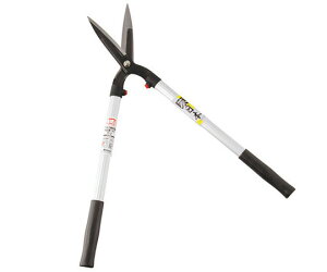 A[NhTJg A~yʊ@ 1 727089