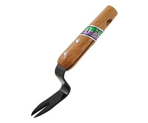 A[NhTJg {ē@ 1 727266