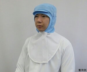 �K�[�h�i�[ ���K�h���C�t�B�[���@�c�o�t���t�[�h�i�j�@LL�T�C�Y 1�� CR4964-2