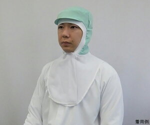 K[hi[ KhCtB[@cott[hi΁j@LTCY 1 CR4964-3