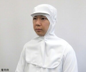 K[hi[ Xgb`|v@cott[hij@p@MTCY 1 SP462-1