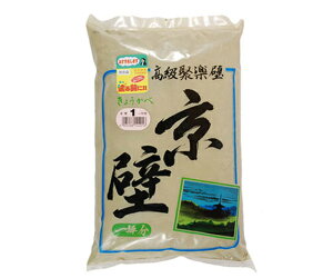 ƒ뉻wH 炭ǁiڊyǁj@ǁ@1ؗp@No.1 1 209821