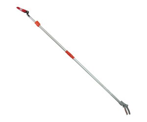 Rp Lk}@Y@mRMnt@n3m 1