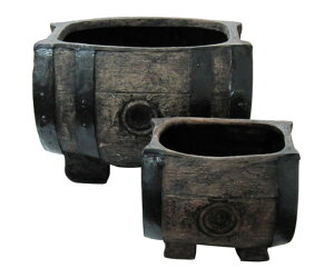 Rp M^v^[@25/43^Zbg 1Zbg