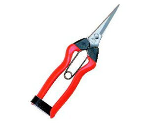 ѐ zH@XeX@E@185mm 1 K-9