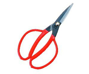 ѐ zH@W[Jbg@165mm 1 K-15