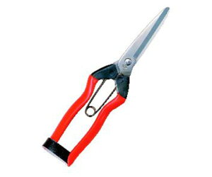 ѐ zH@XeX@n@200mm 1 J-3