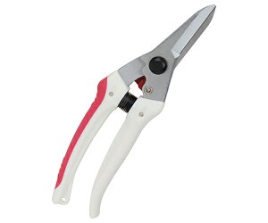 g K[fؙ@TbN 1 SGP-44