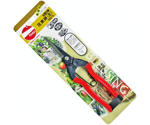 ѐ Ԏipj@185mm 1 K-10L